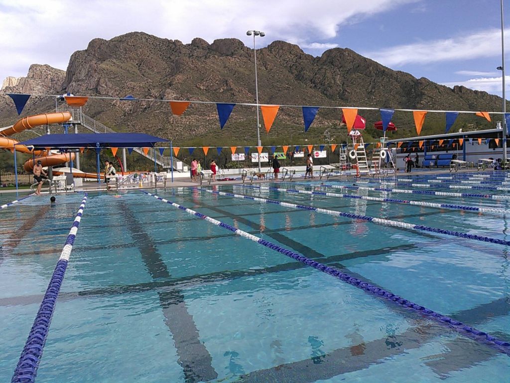 Dolphins of the Desert Swimming Academy